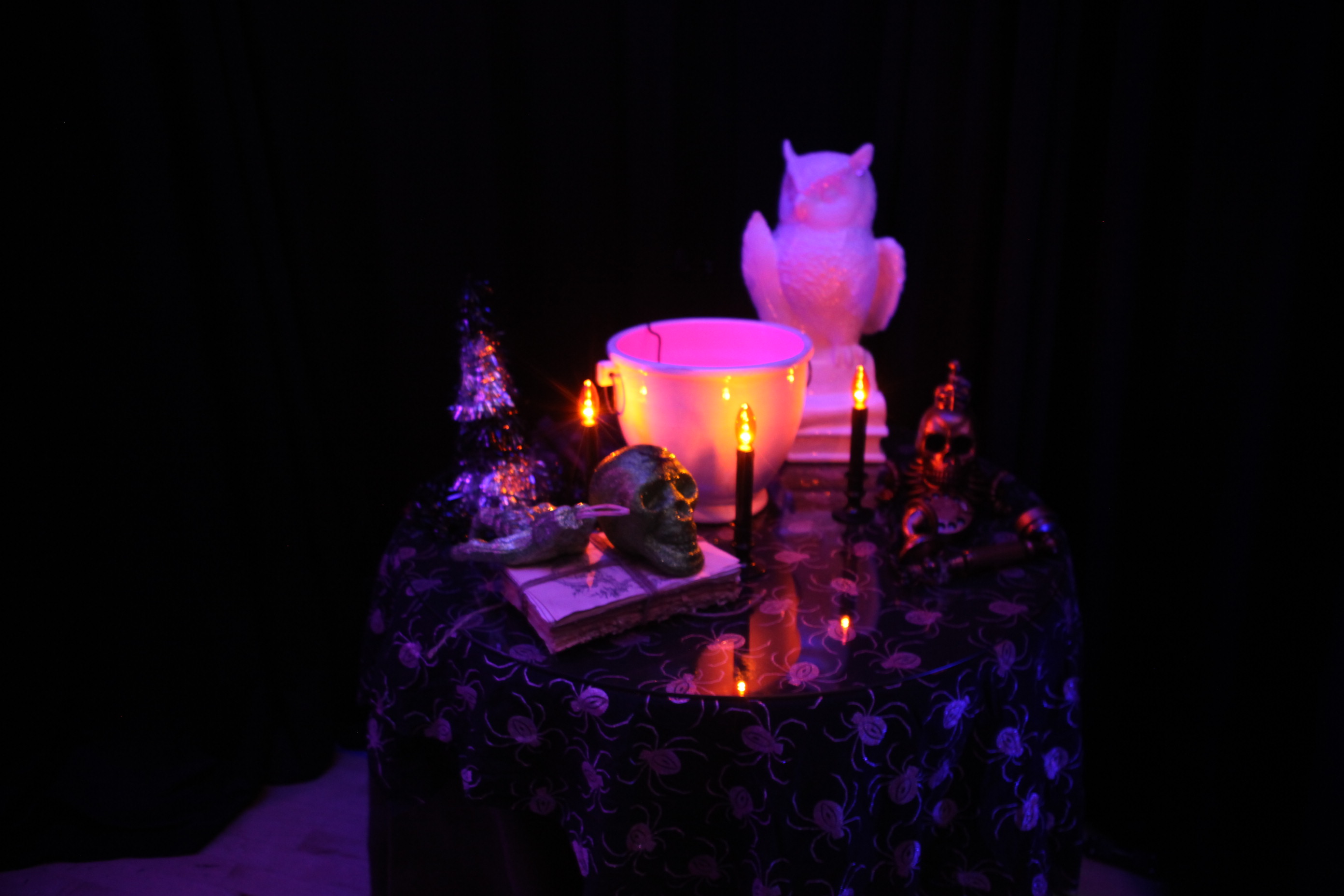 Harry Potter Haunted House Superior Celebrations Blog