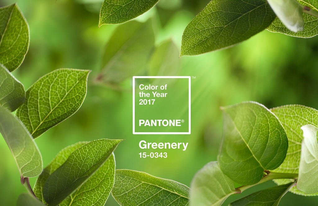 Pantone Color of the Year 2017