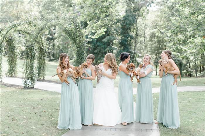 Puppies as bouquets! Photo by Caroline Logan Photography