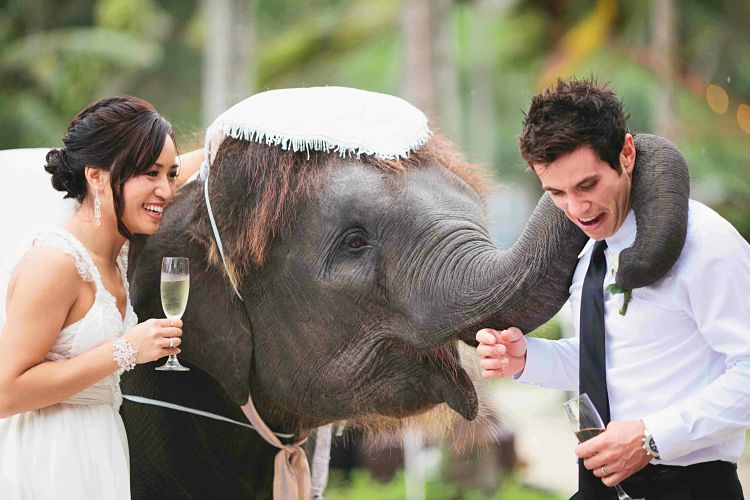 Thailand Wedding by Aidan Dockery