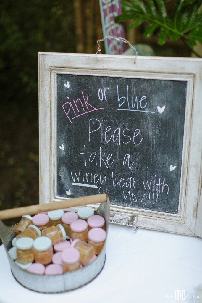 Get the Scoop Gender Reveal Party