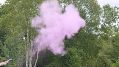 Purple Powder Cannon: Image 2