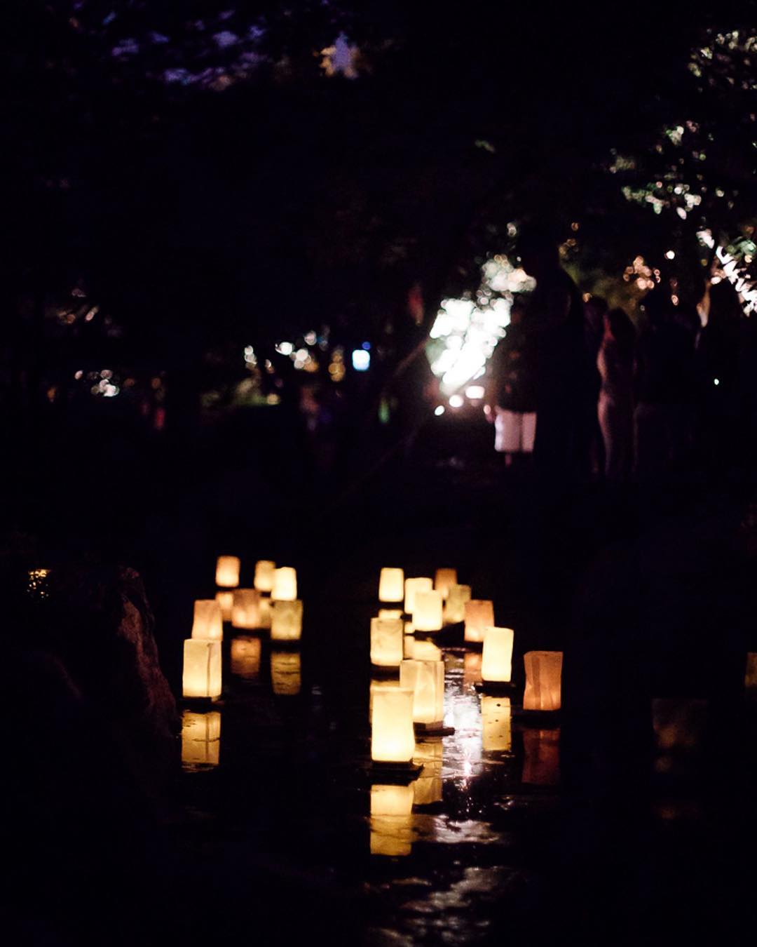 White Floating Water Lanterns Superior Celebrations