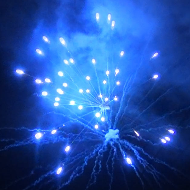 Gender Reveal Fireworks Set Free Shipping