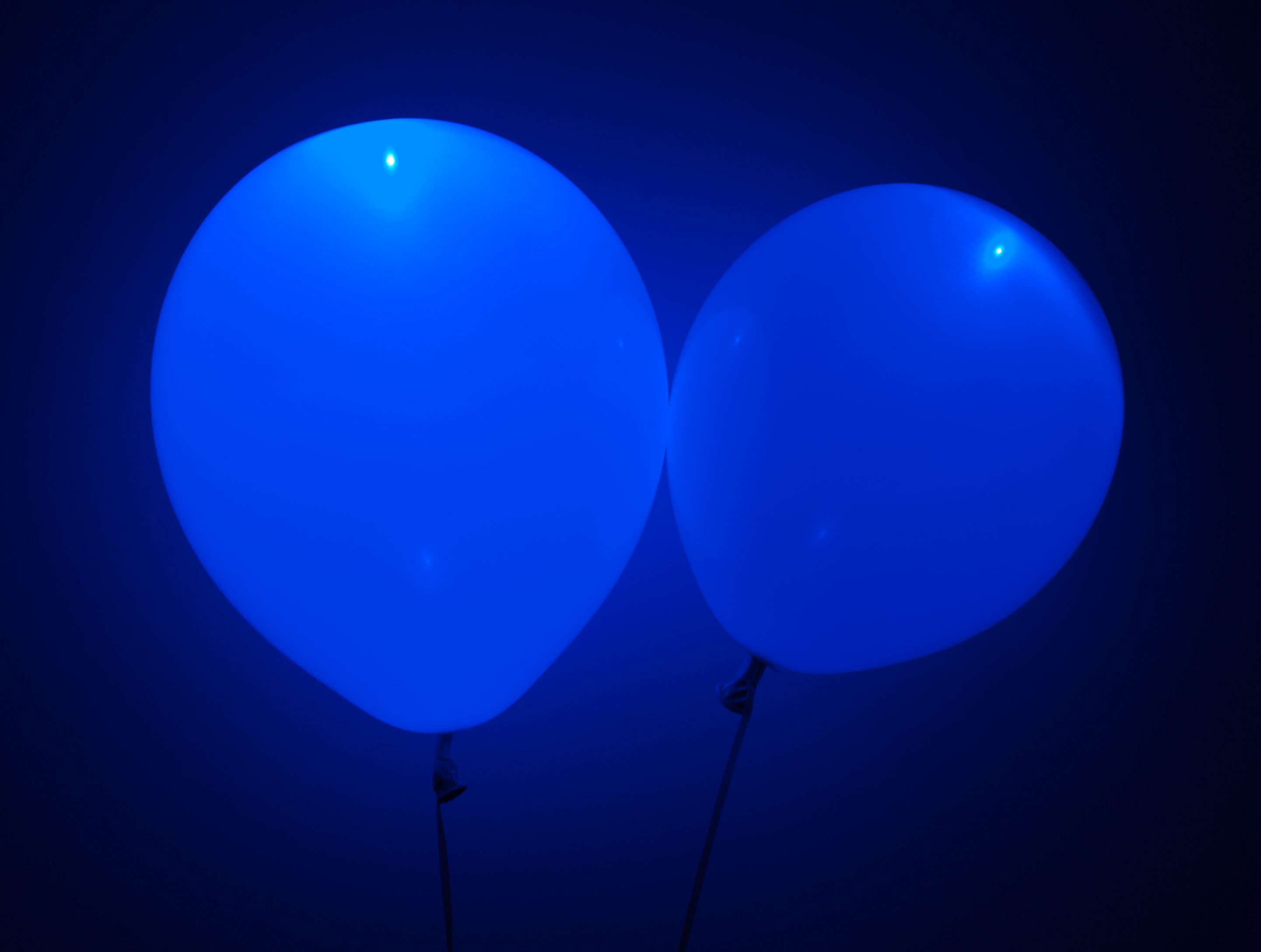 Color Powder Gender Reveal >> Blue LED Balloons – Superior Celebrations Color Powder Gender Reveal >> Blue LED Balloons – Superior Celebrations